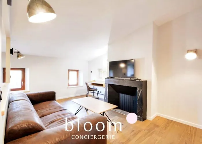 Nancy Vieille Ville Bel Appartement Renove