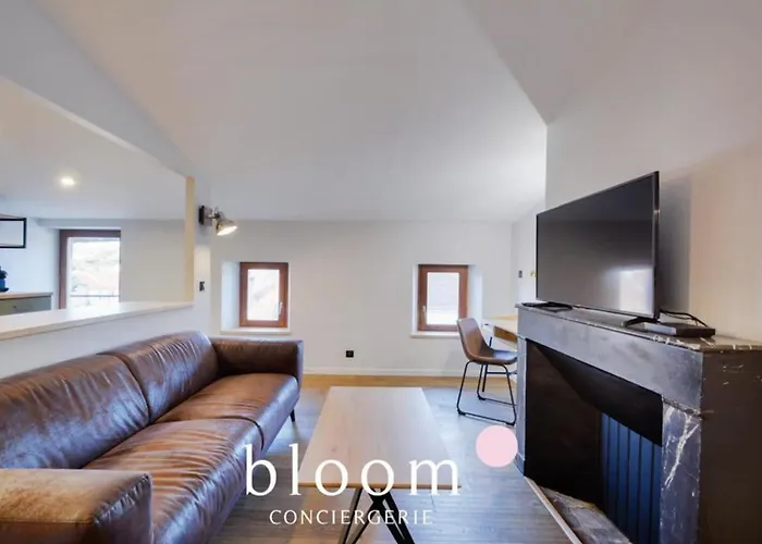 Nancy Vieille Ville Bel Appartement Renove