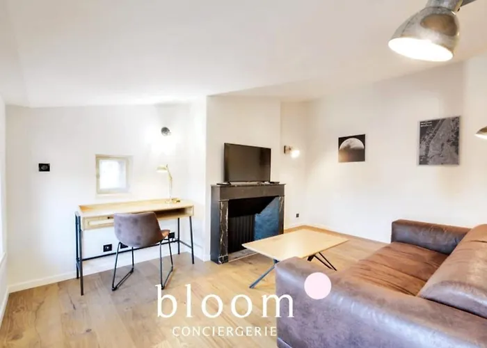 Nancy Vieille Ville Bel Appartement Renove